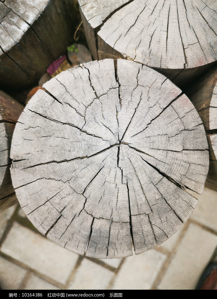 实现了从“卖木头”到“吃生态饭”的华丽转身；吉林化纤集团锚定新材料赛道深耕细作